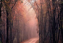 中国足球职业联赛联合会正式成立央视体育微博.