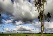 凯发娱乐：主场谢幕战被“绝杀”2比3不敌成都蓉城 国安输球痛失亚冠资格北京青年报.