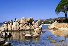 中国足球职业联赛联合会正式成立央视体育微博.